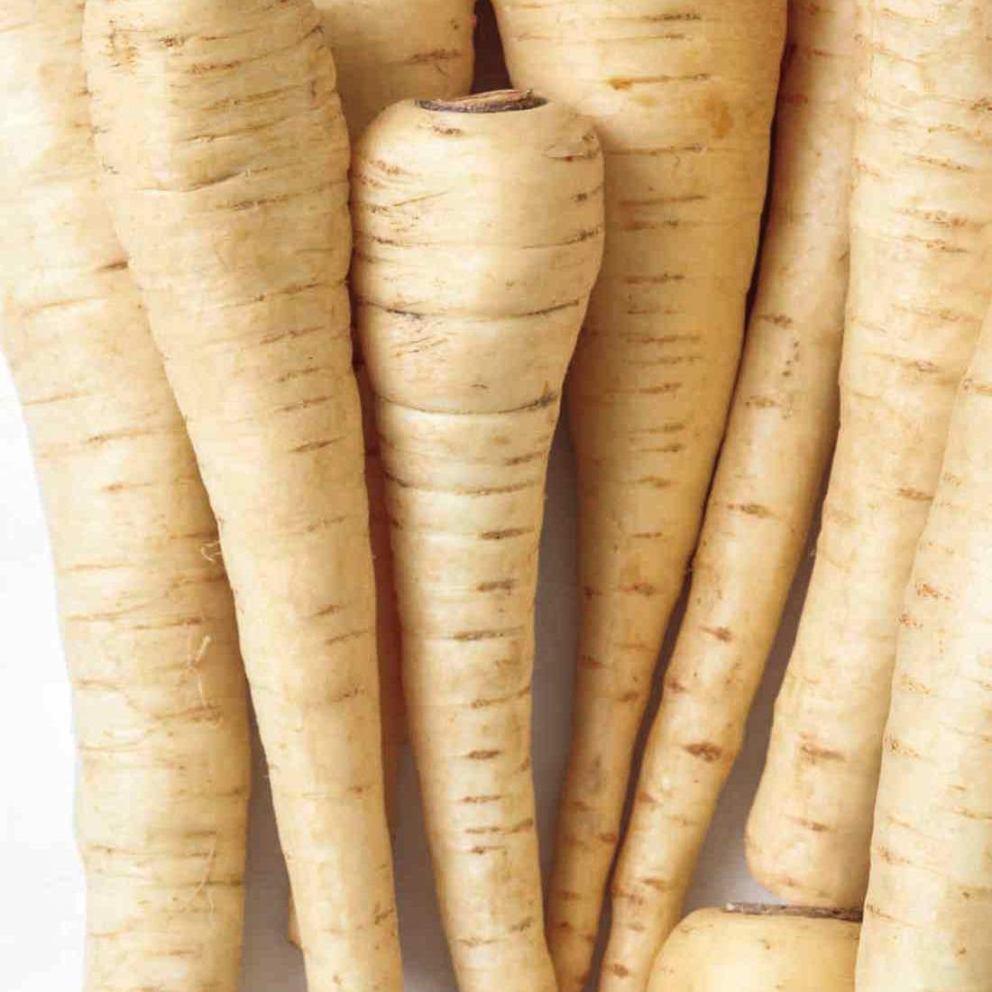 PARSNIP Root Cut